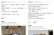 梦见小鸡闲鱼：LABUBU搜索量环比上涨1000%，供不应求下现租赁新形式