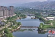 梦见小鸡《西宁市2024年生态环境质量状况公报》发布