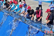 梦见小鸡2025年全国水生生物同步增殖放流活动在福建举行