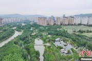 梦见小鸡西宁市举办六五环境日主题宣传活动