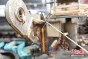 梦见小鸡小蚕虫变身“产业龙”，广西这座小城如何实现“破茧重生”？
