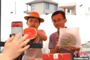 梦见小鸡（乡村行·看振兴）江西安福“小西瓜”撬动乡村共富“大支点”