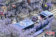 梦见小鸡2024年云南重点高原湖泊水质稳定 抚仙湖达Ⅰ类